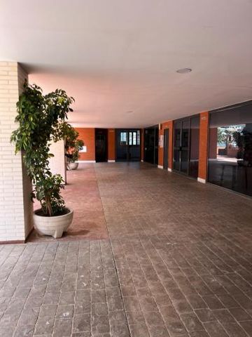 Apartment - Alicante (Pau V) - Photo 2