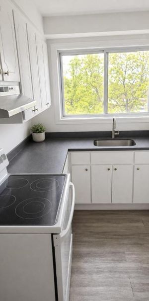 1 CH - 1 SDB - Montréal - $1,300 /mo - Photo 1