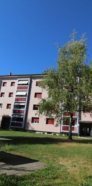 Magnifique logement de 3 pièces proche des commodités - Photo 1