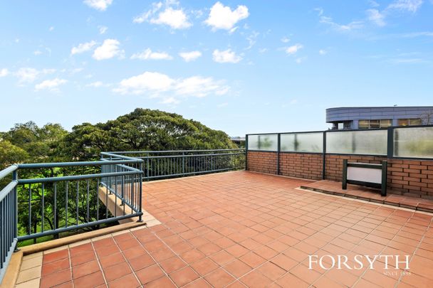 213/2-26 Wattle Crescent, Pyrmont NSW 2009 - Apartment For Rent | Domain - Photo 1