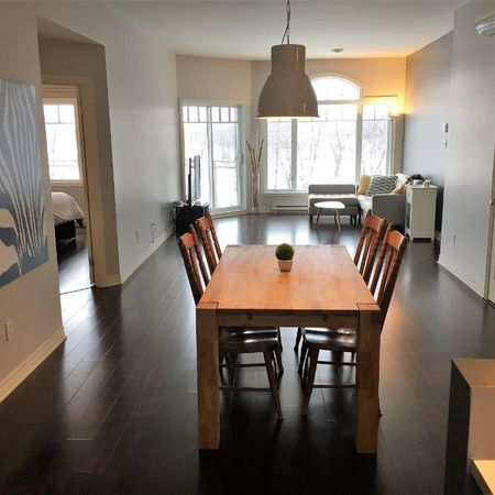 Grand condo 4 ½, électroménagers inclus, vue Grand parc urbain, près du dix30 et du REM à Brossard - Photo 3