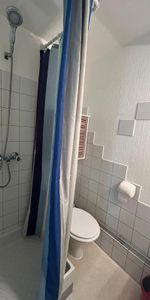 Location Appartement 1 pièce Meublé 15m² AIRE SUR L ADOUR 40800 - Photo 4