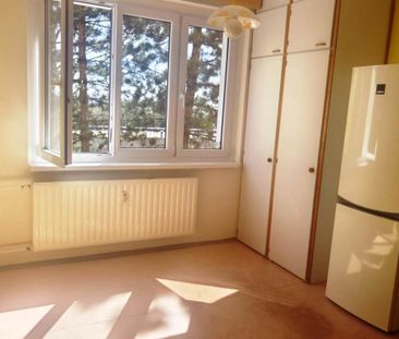 Pronájem bytu 1+1 35 m2 - Photo 4