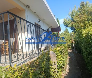 Μονοκατοικία 67 τ.μ. προς ενοικίαση - Photo 5
