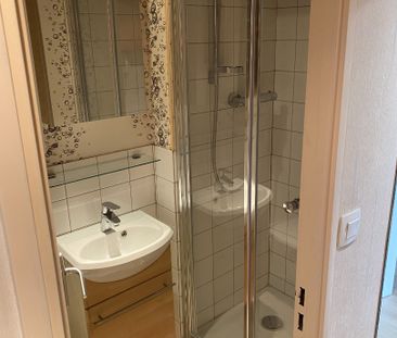 Location Appartement 1 pièce 17m² RENNES 35700 - Photo 6