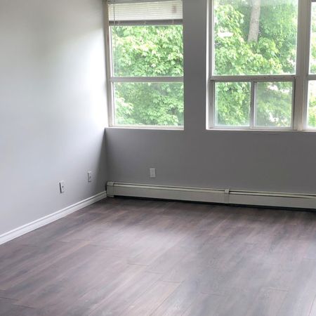 Canboro Garden - Photo 3