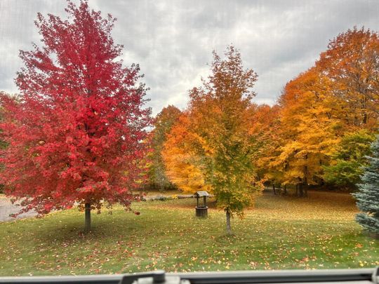 For Lease - 241 Deele Road, Cramahe, Ontario - Photo 1