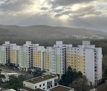 Moderne 4-Zimmer-Wohnung in Darmstadt-Eberstadt - jetzt frei! - Foto 1