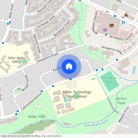 28 Romney Crescent, NSW 2168, Miller