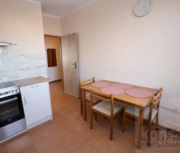 Osiedle Magnolia-2 pokoje na wynajem - Zdjęcie 3