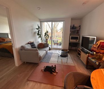 163 Green Acre Grange, Kilmacud Rd, Upper, Dundrum, Dublin 14, D14 ... - Photo 4