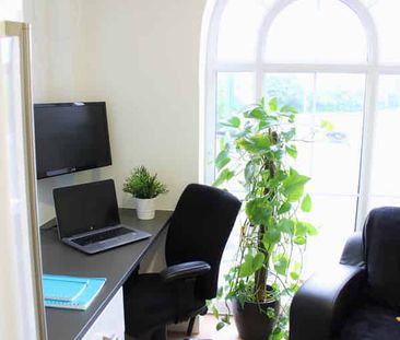 Studio Gold - Photo 6