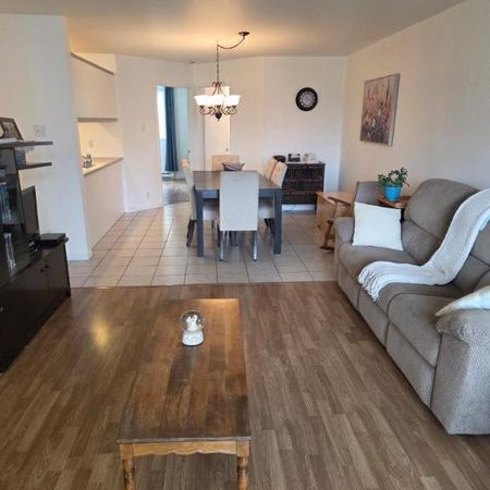 3 1/2 - Lévis - 875 $/mois - Photo 3