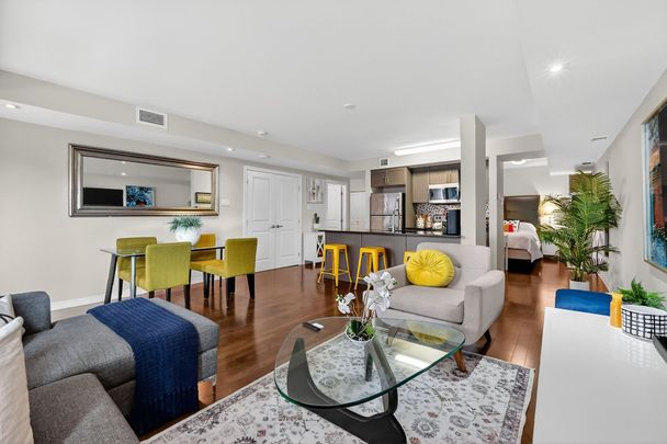 For Lease - 242 Rideau Street Unit# 206, Lower Town - Sandy Hill, Ontario - Photo 1