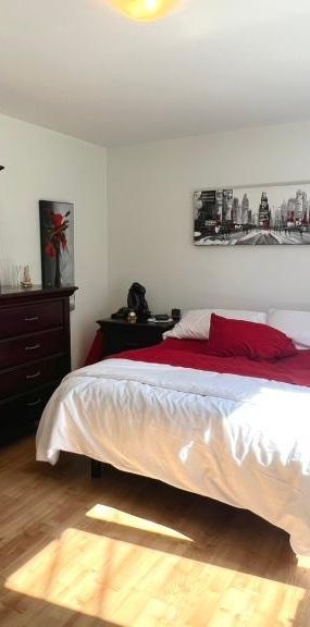 logement à louer 4 1/2 st-hubert, SEPTEMBRE - Photo 1
