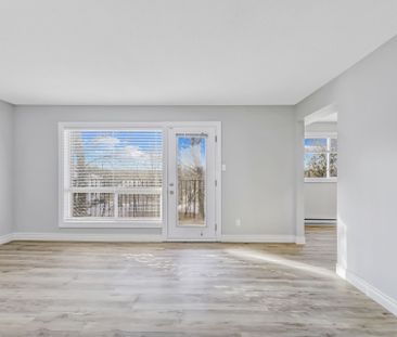 For Lease - 308 Prospect Street Unit# 3, Newmarket, Ontario - Photo 3