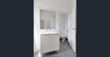 STYLISH RENOVATED VICTORIAN TERRACE IN PRIME LOCATION - Photo 5