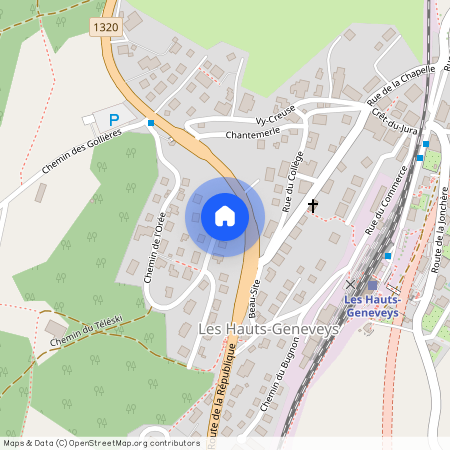 2208, Les Hauts-Geneveys, Chemin De L'orée, 22