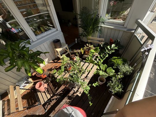 Magnus Ladulåsgatan, Stockholm - Foto 1