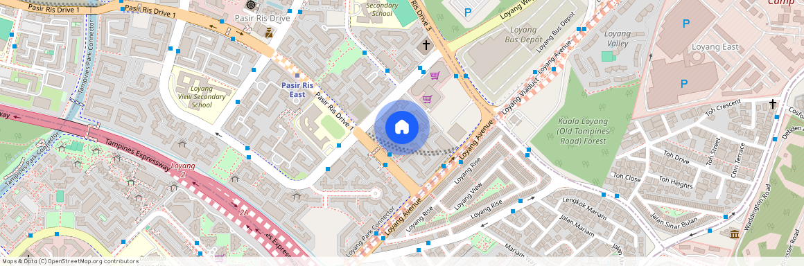 269 Pasir Ris Street 21 (510269), Singapore