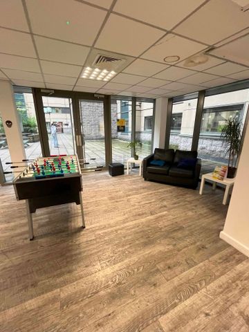 Medium High Double Studio - Photo 4