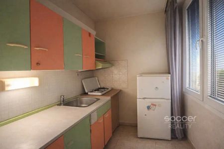 Pronájem bytu 1+kk/L/S, 25 m - Fotografie 2