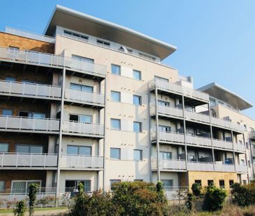 Harbour Reach - Photo 5