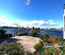 Location Appartement 2 pièces 25m² LE BARCARES 66420 - Photo 5