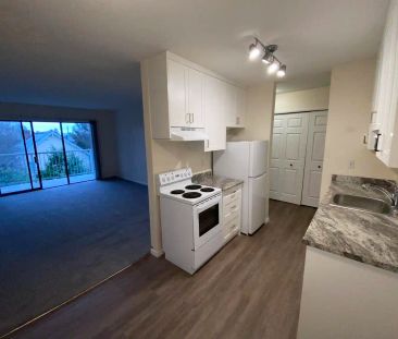 Olympic View Terrace — 1 Bedroom - Photo 4