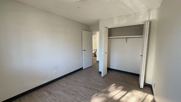 Castleview — Classic 2 Bed 1 Bath - Spacious - HEAT & WATER INCLUDED starts at $1495 - Photo 1