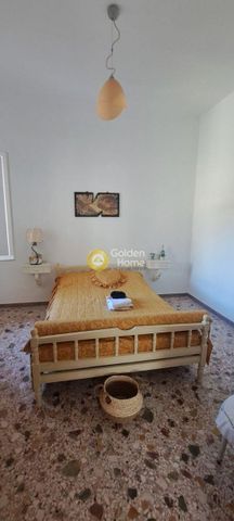 Διαμέρισμα για ενοικίαση Προσκυνάς (Μαλεσίνα) - Φωτογραφία 4