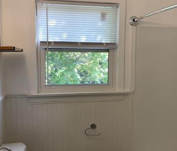 38 Celtic Drive – CHARMING, SUNNY 1 BR 1 BATH UPPER FLAT AVAILABLE ... - Photo 5
