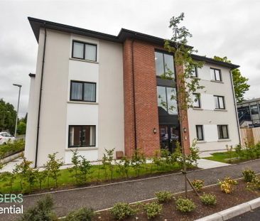 Apt 3, 86 Kinross Avenue, Belfast, BT5 7GH - Photo 2
