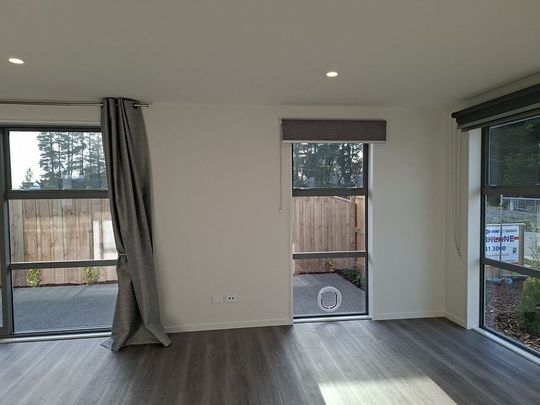 Brand new 2 Bedroom in Rolleston - Photo 1