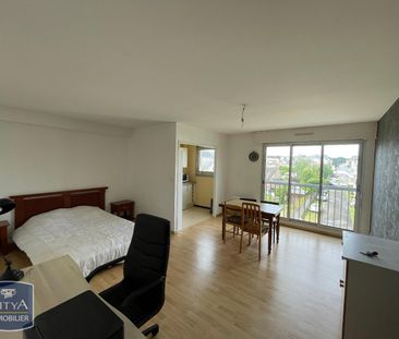 Location Appartement 1 pièce 36m² LE MANS 72000 - Photo 3