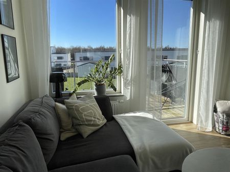 Vildrosgatan - Foto 2