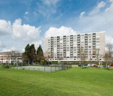 Buizenwerf 3063 AZ Rotterdam - Photo 4