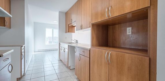 4 1/2 SAINT-BASILE-LE-GRAND adjacent SAINT-BRUNO-DE-MONTARVILLE - Photo 2