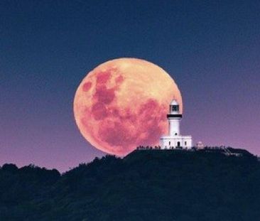 Forest Beach - Photo 6