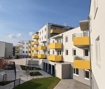 ERSTBEZUG „ein viertel grün“ in Wiener Neustadt - geförderte 3-Zimm... - Photo 5