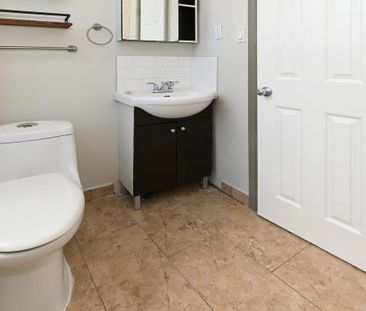 For Lease - 355 Bronson Avenue, Ottawa Centre, Ontario - Photo 5