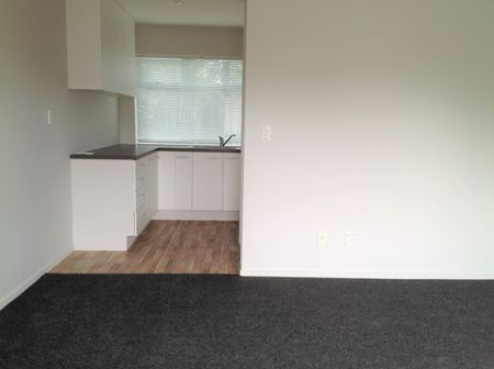 3/50 Wellington Street, Phillipstown - Photo 2