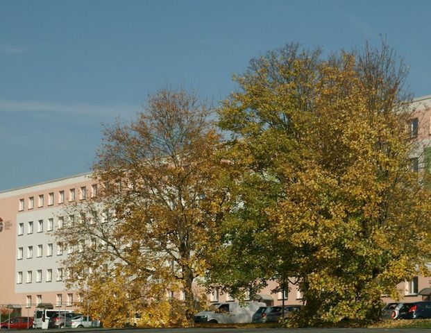 Moltkestraße 8, 08523 Plauen - Foto 1