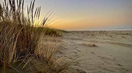 Summer Waves Await - Photo 3