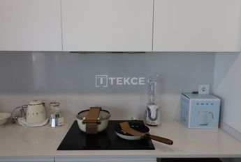 Badalona, La Morera, Barcelona, Catalonia 08918