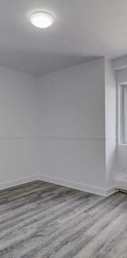 1 CH - 1 SDB - Montréal - $1,300 /mo - Photo 1