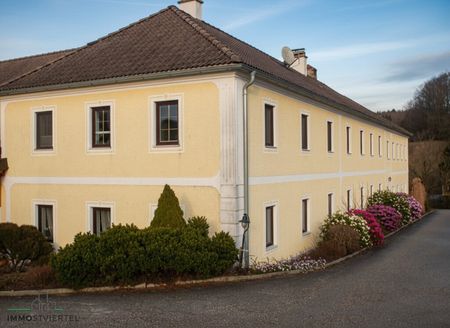 Ruhig gelegene Erdgechossmietwohnung nähe Wieselburg! - Foto 3