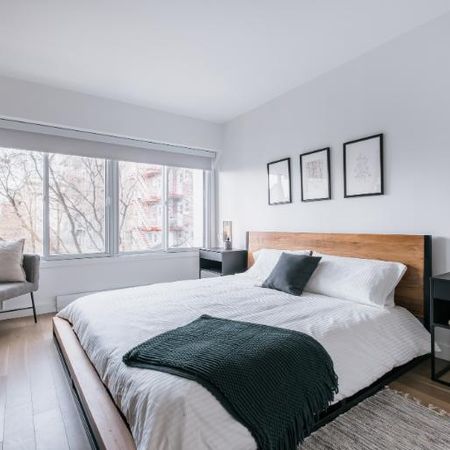 3 ½ entièrement meublé à louer Saint-Jean-Baptiste décembre 2026 - Photo 3