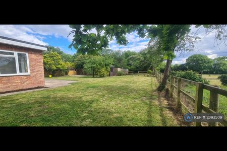 3 bedroom bungalow to rent - Photo 5
