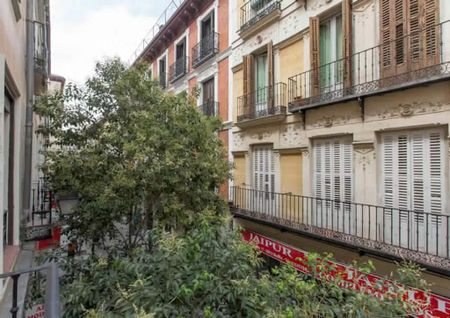 Calle del Mesón de Paredes, Madrid, Community of Madrid 28012 - Photo 4